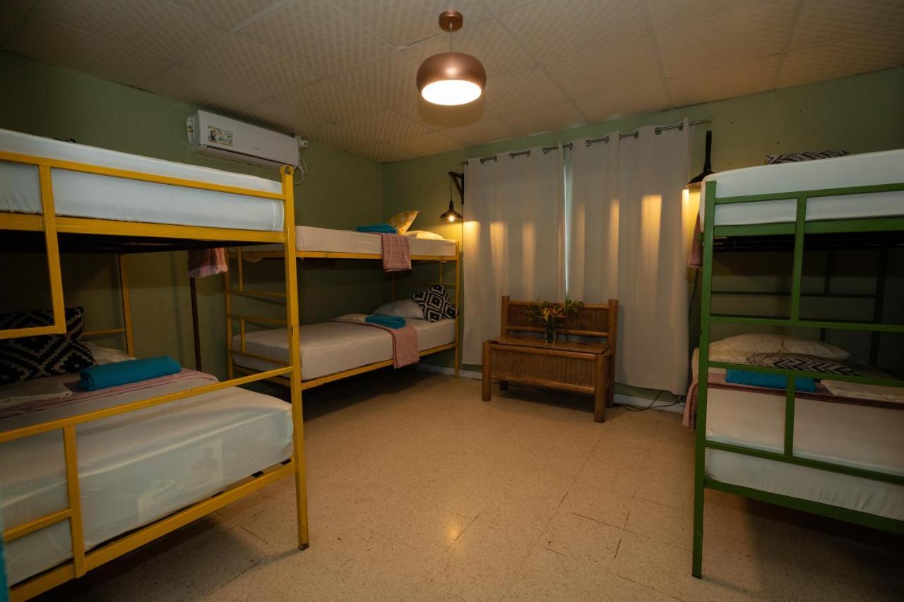 Hostel Travelers צ'יטרה מראה חיצוני תמונה