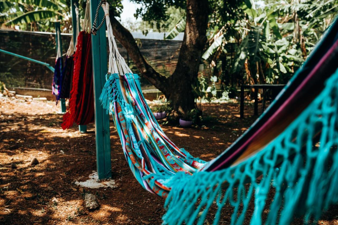 Hostel Travelers צ'יטרה מראה חיצוני תמונה