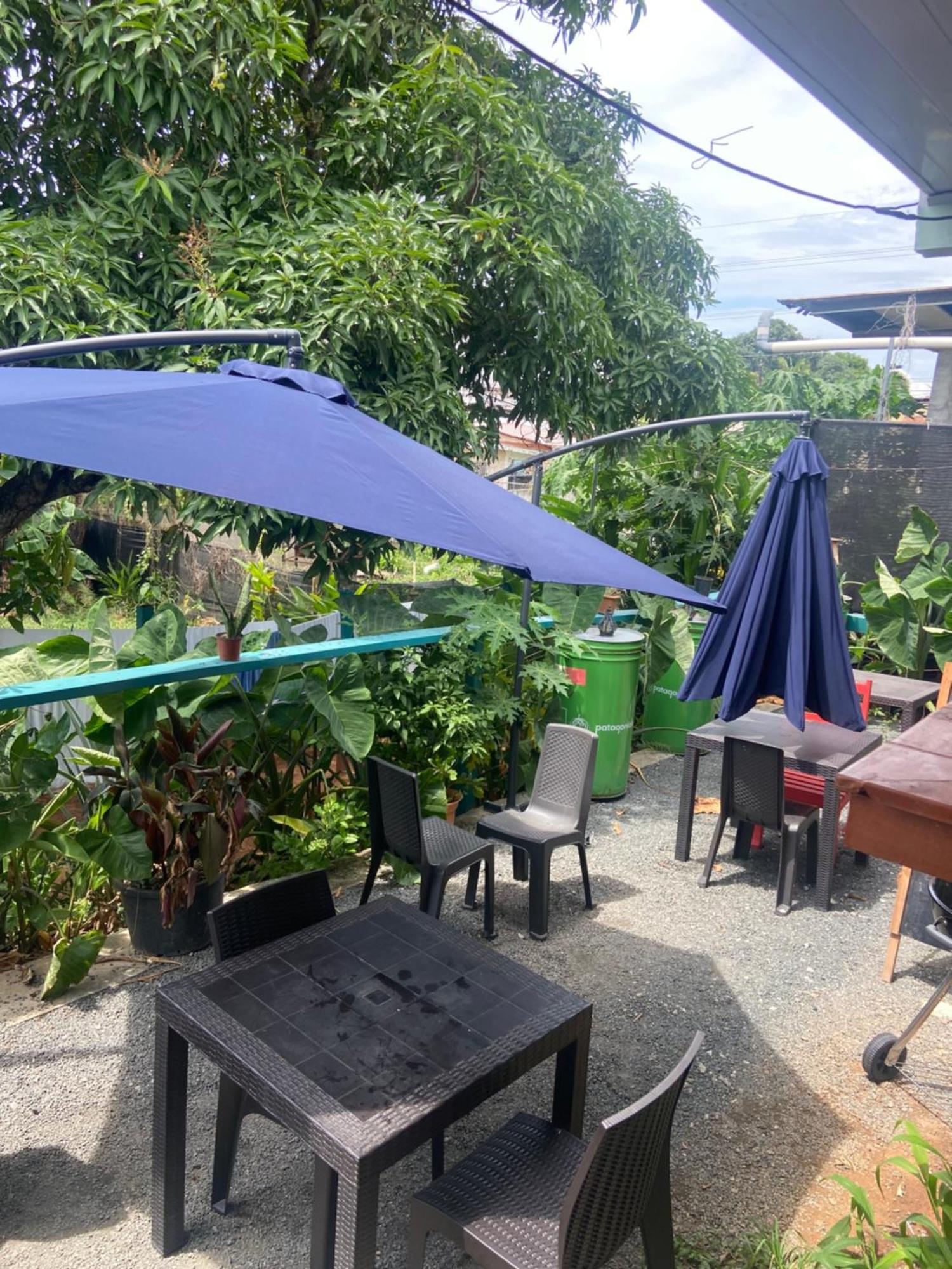 Hostel Travelers צ'יטרה מראה חיצוני תמונה