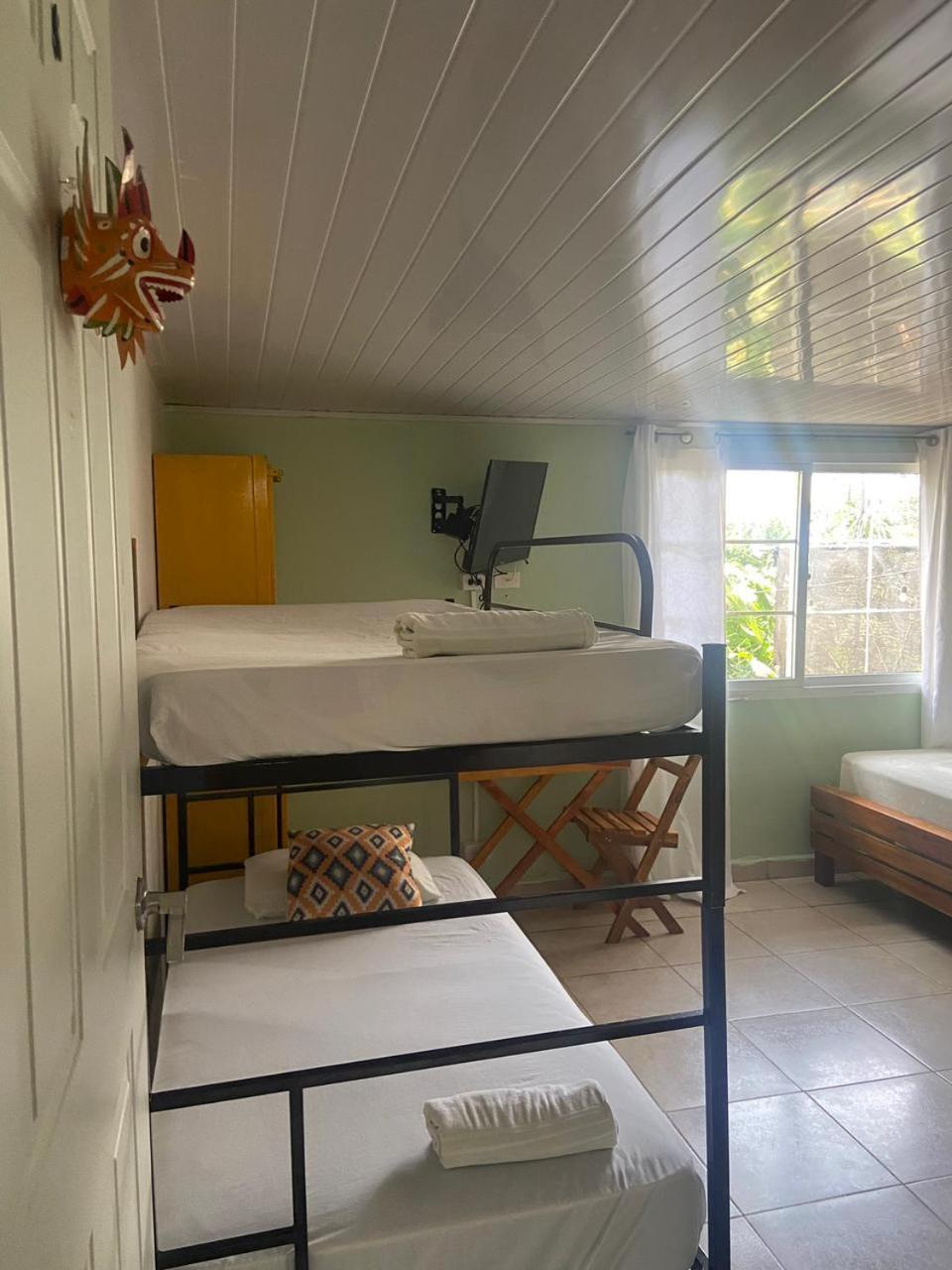 Hostel Travelers צ'יטרה מראה חיצוני תמונה