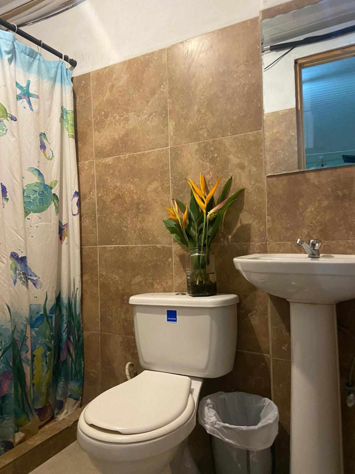 Hostel Travelers צ'יטרה מראה חיצוני תמונה